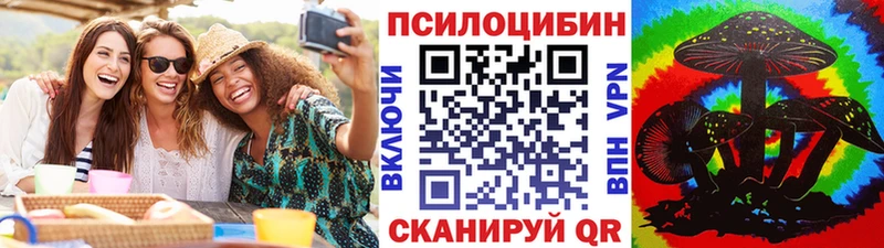 Галлюциногенные грибы Psilocybe  Саранск 