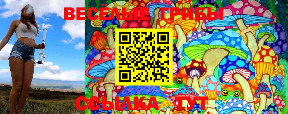 Псилоцибиновые грибы Magic Shrooms Саранск