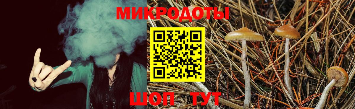 Псилоцибиновые грибы ЛСД  Псилоцибиновые грибы MAGIC MUSHROOMS  Вход с VPN  Саранск 